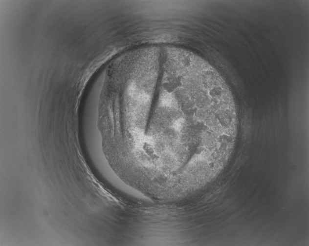 X0000076390721200611031654