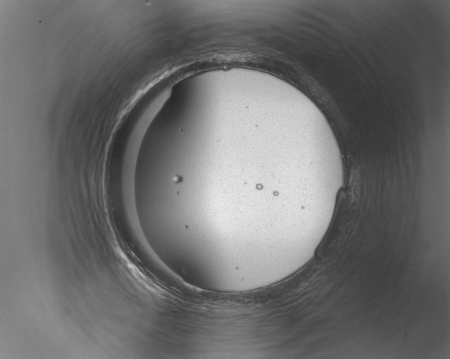 X0000076390722200611031654