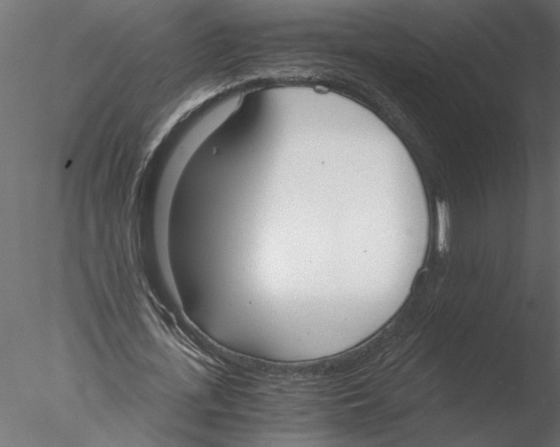 X0000076390723200611031654