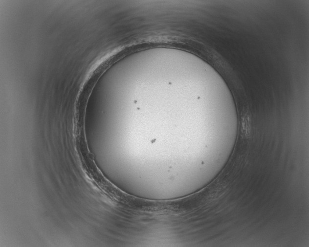 X0000076390724200611031654