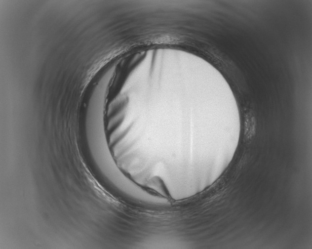 X0000076390725200611031654