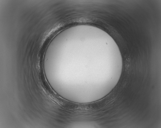 X0000076390727200611031654