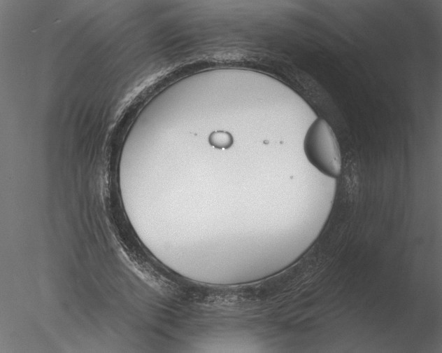 X0000076390728200611031654