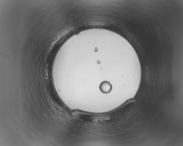 X0000076390731200611031654