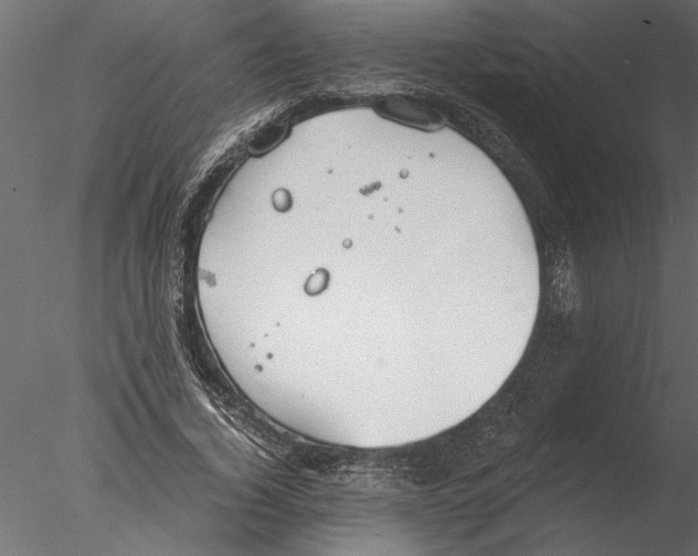 X0000076390732200611031654