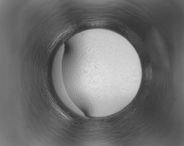 X0000076390733200611031654