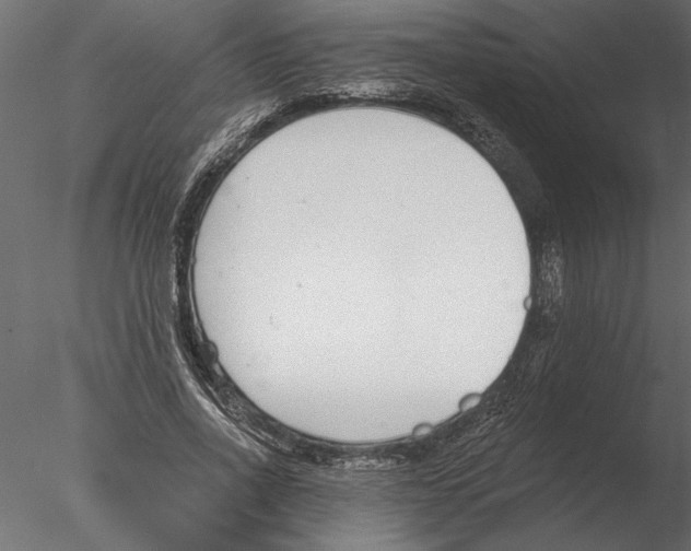 X0000076390734200611031654