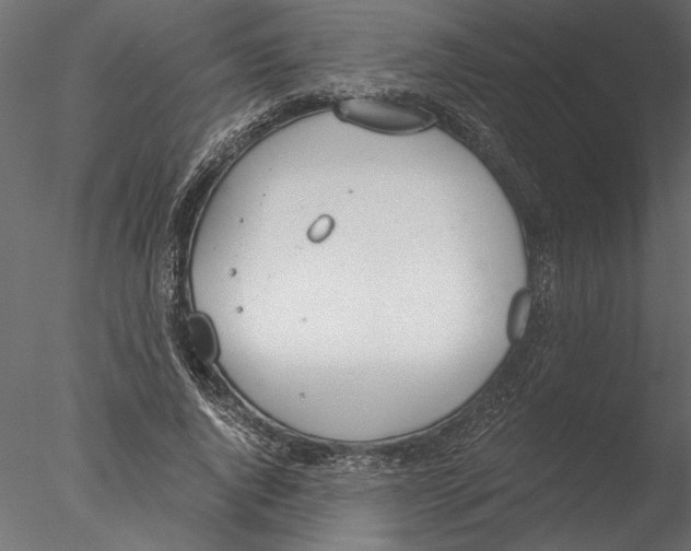 X0000076390736200611031654