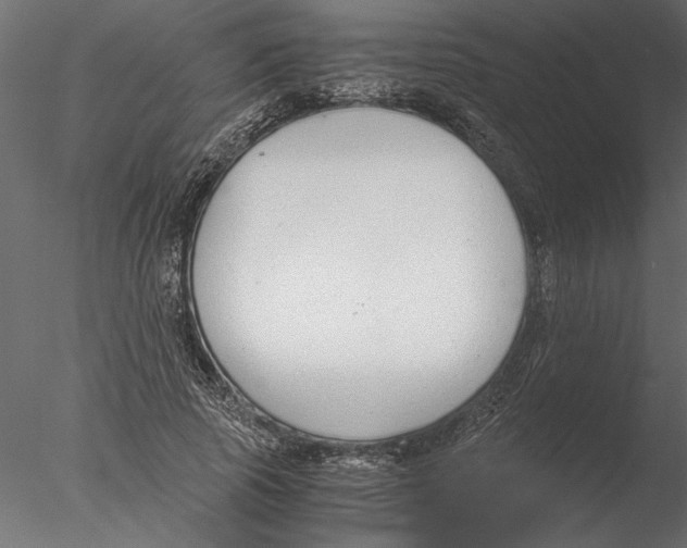 X0000076390737200611031654