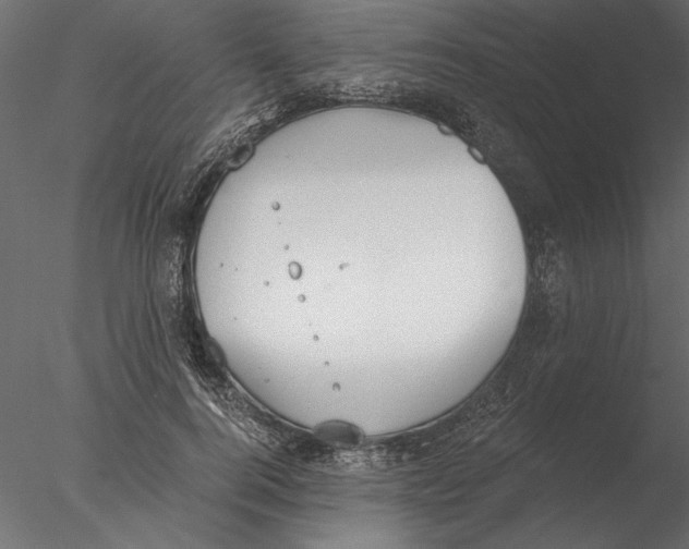 X0000076390744200611031655