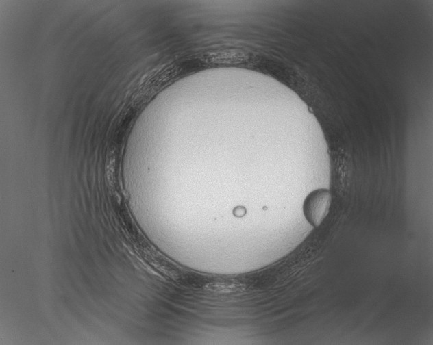 X0000076390745200611031655