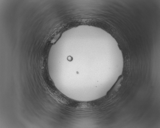 X0000076390750200611031655