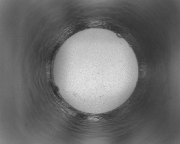 X0000076390753200611031655