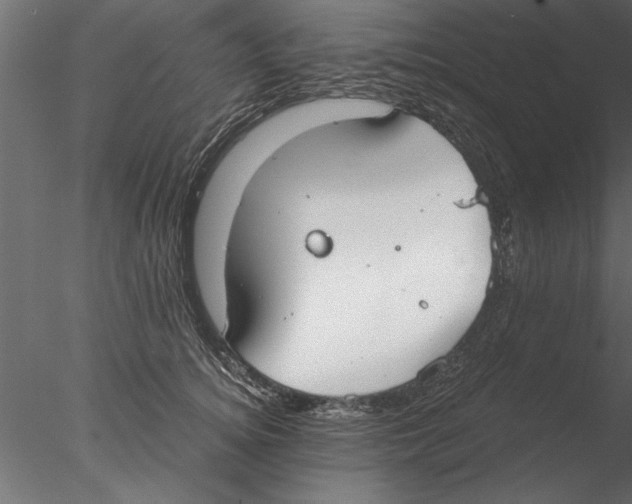 X0000076390756200611031655