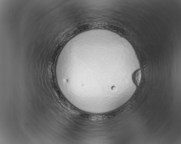 X0000076390757200611031655