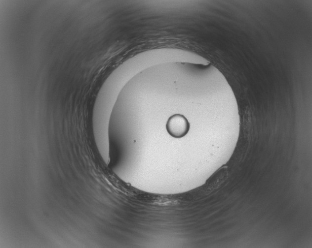 X0000076390760200611031655