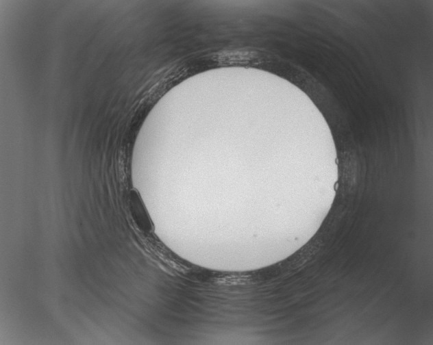 X0000076390761200611031655