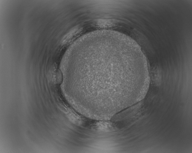 X0000076390762200611031655