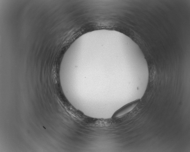 X0000076390764200611031655