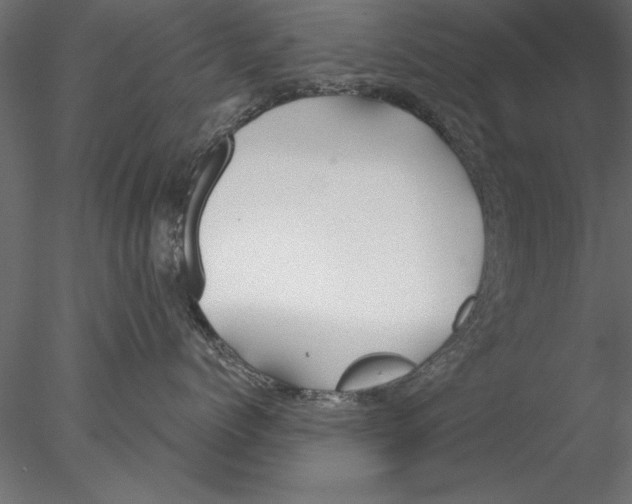 X0000076390768200611031655