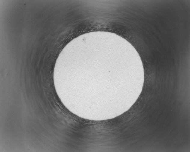 X0000076390769200611031654