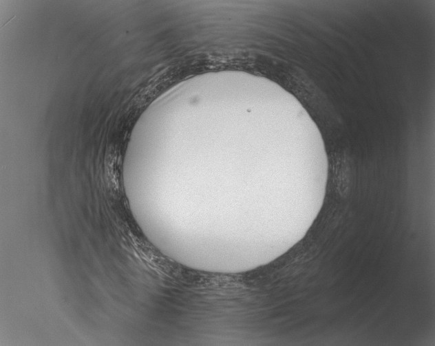 X0000076390770200611031654