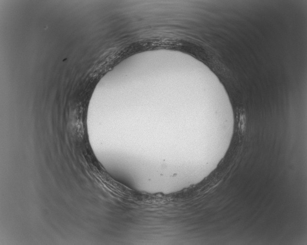 X0000076390771200611031654