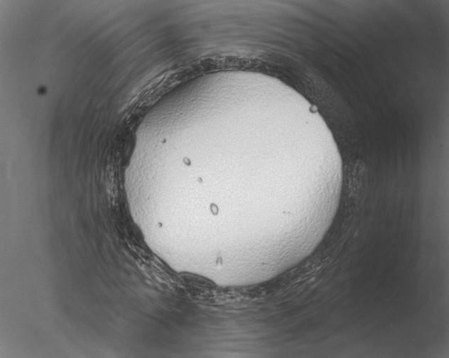 X0000076390774200611031654