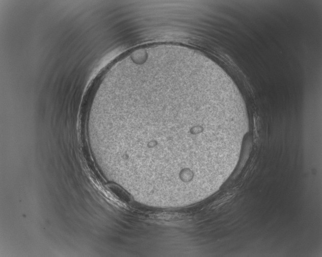 X0000076390780200611031654