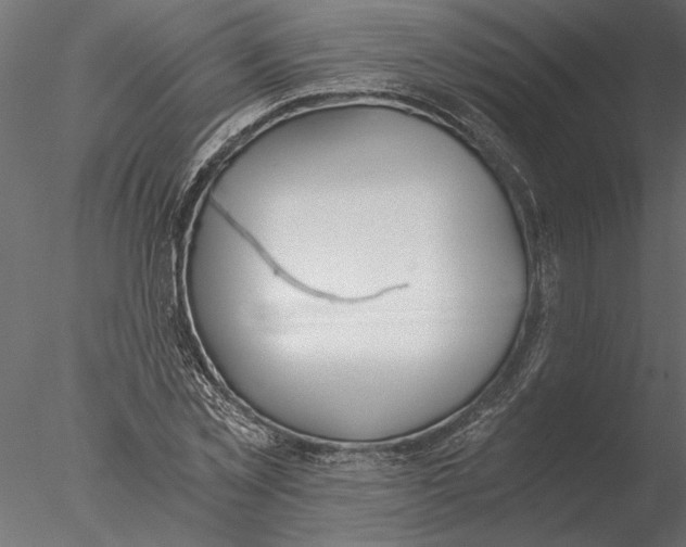 X0000076390781200611031654