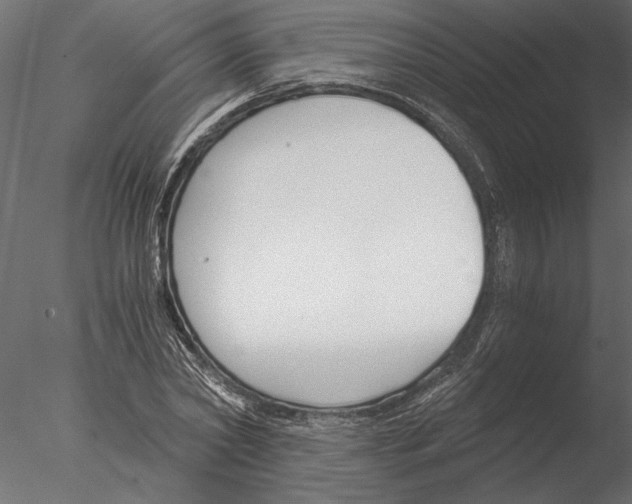 X0000076390782200611031654