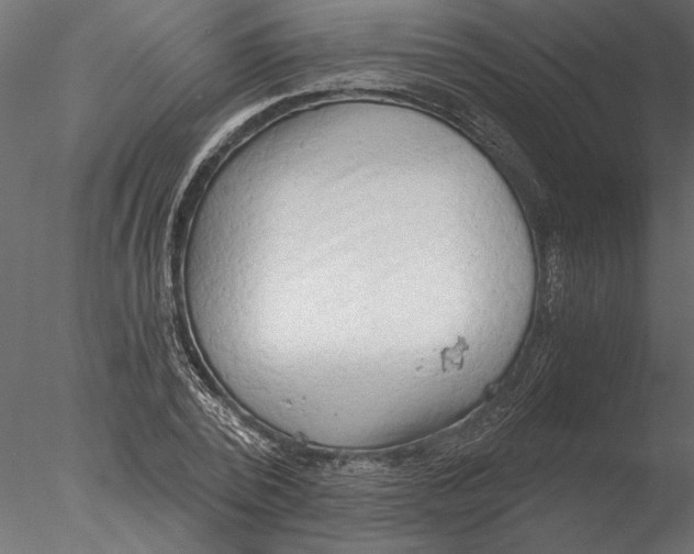 X0000076390784200611031654