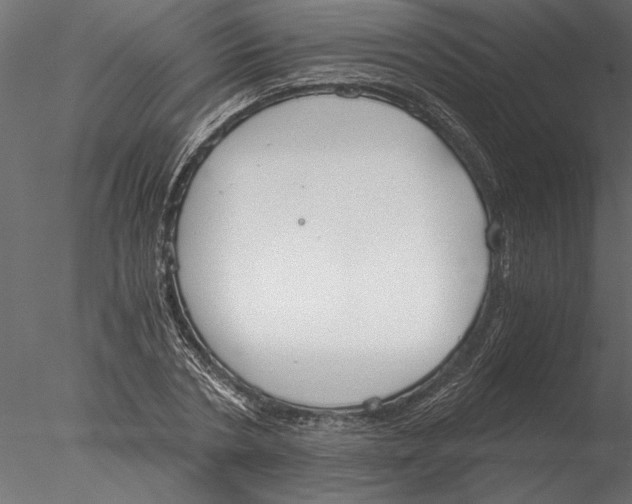 X0000076390786200611031654