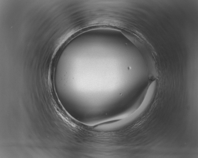 X0000076390788200611031654