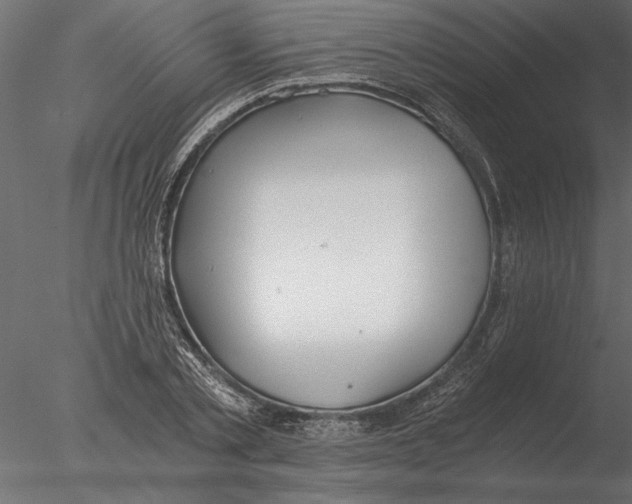 X0000076390789200611031654