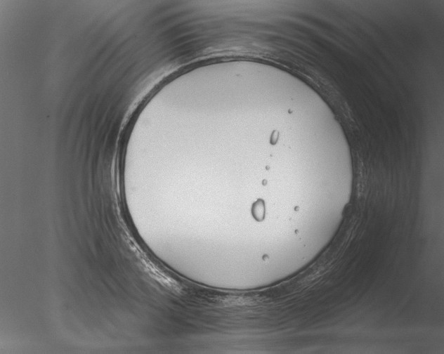 X0000076390796200611031654