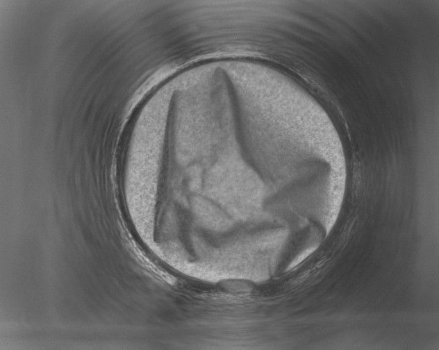 X0000076390797200611031654