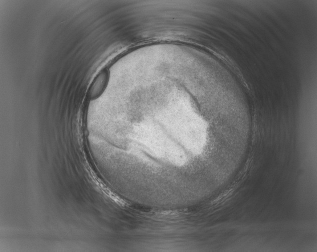 X0000076390798200611031654