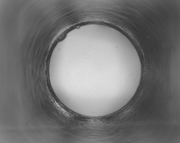 X0000076390799200611031654