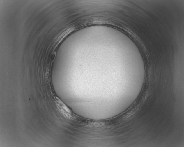 X0000076390801200611031654