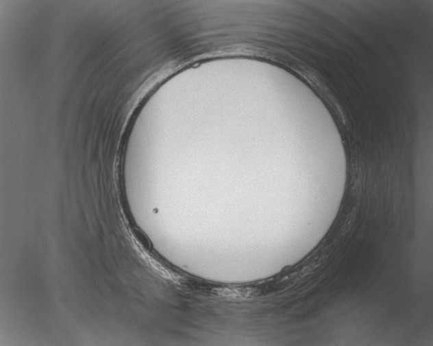 X0000076390805200611031654