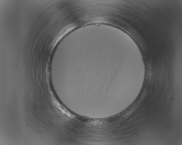 X0000076390806200611031654