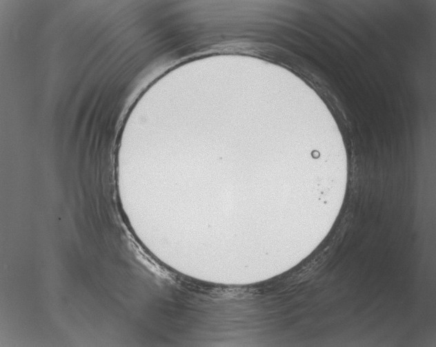 X0000076390808200611031654