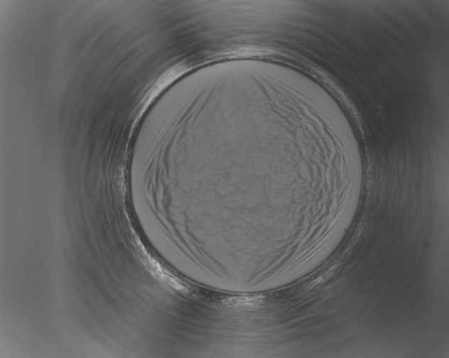 X0000076390810200611031653