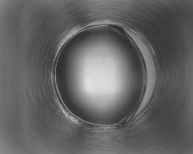 X0000076390813200611031653