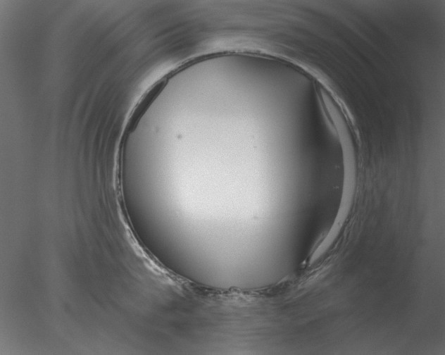 X0000076390815200611031653