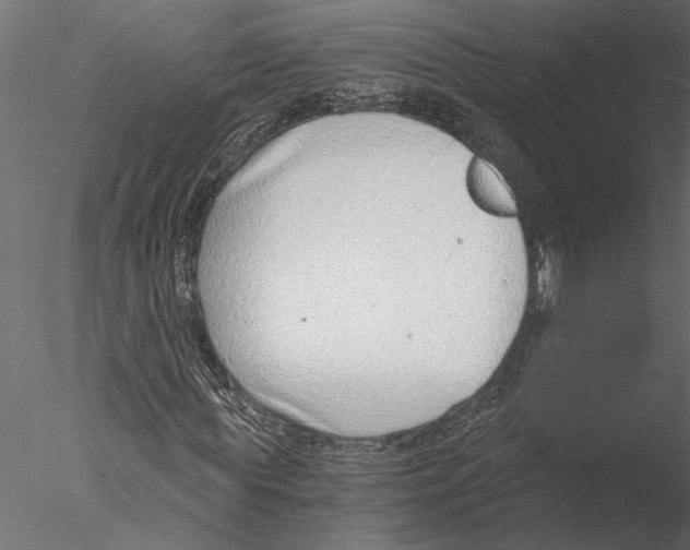 X0000076390819200611031653