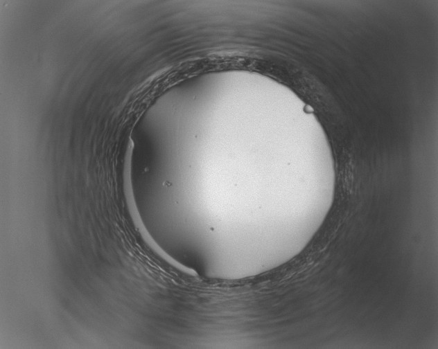 X0000076390821200611031653