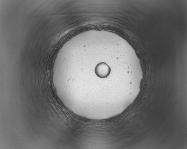 X0000076390822200611031653