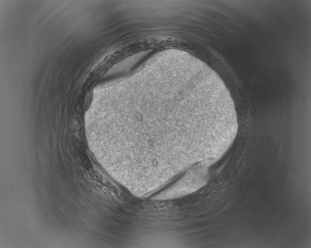 X0000076390823200611031653